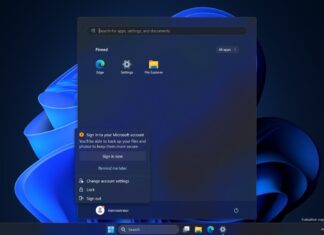 Windows Server 2025 DHCP issues