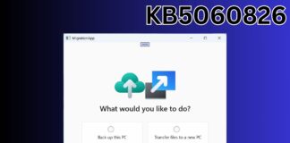 windows 11 KB5060826