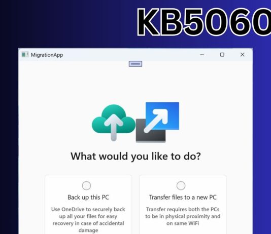 windows 11 KB5060826