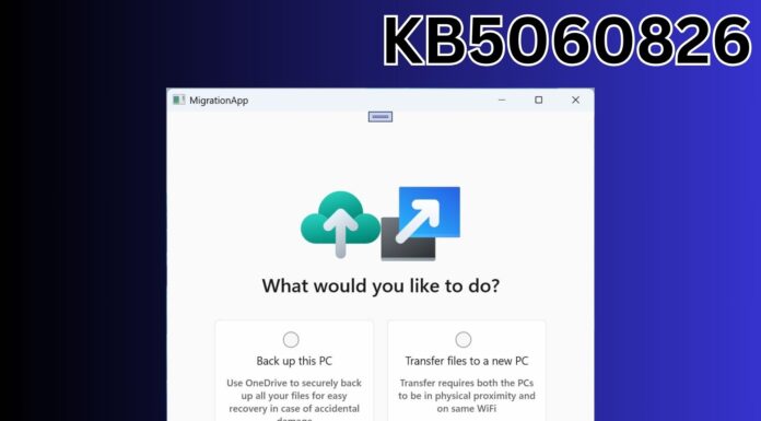 windows 11 KB5060826
