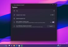 wsa working on win 11 24h2