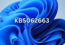 Windows 11 KB5062663