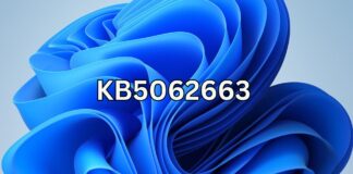 Windows 11 KB5062663