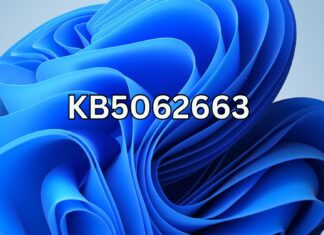 Windows 11 KB5062663