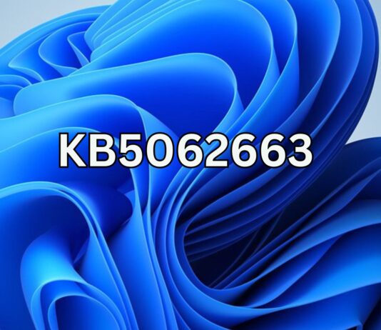 Windows 11 KB5062663