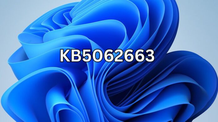 Windows 11 KB5062663