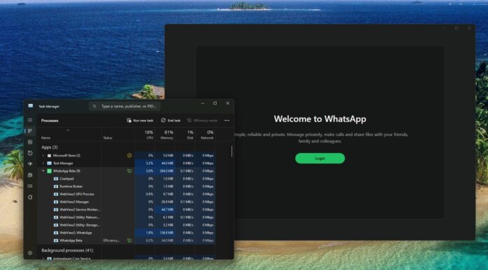 WhatsApp for Windows 11