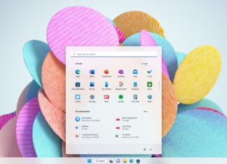 Windows 11 dynamic wallpaper