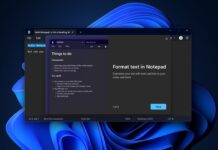 Windows Notepad on Windows 11 with format text