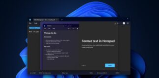Windows Notepad on Windows 11 with format text