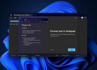 Windows Notepad on Windows 11 with format text