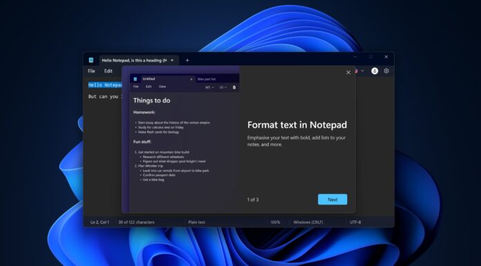 Windows Notepad on Windows 11 with format text
