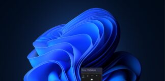 new taskbar thumbnail preview animation windows 11 insider