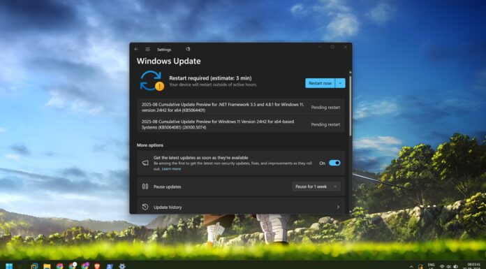 KB5064081 update windows 11 24h2