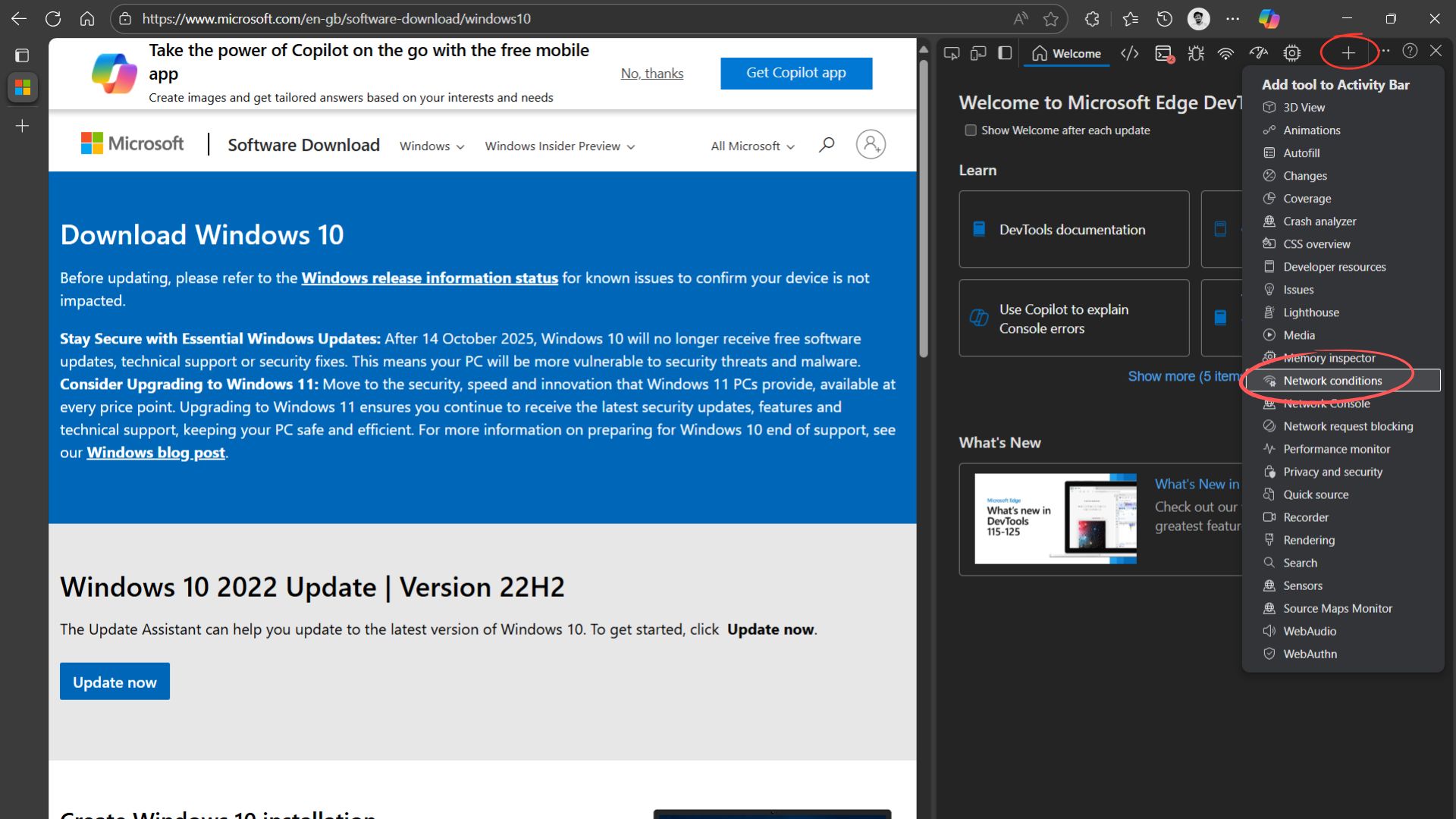 Windows 10 2022 Update download page for ISO