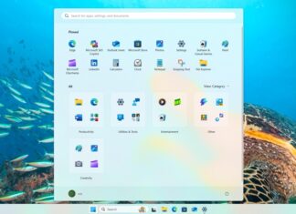 Windows 11 AI future