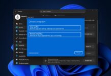 Windows 11 Reset and Recovery features broken