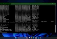 Clipping app for Windows 11 Terminal