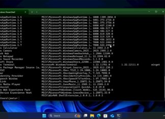 Clipping app for Windows 11 Terminal