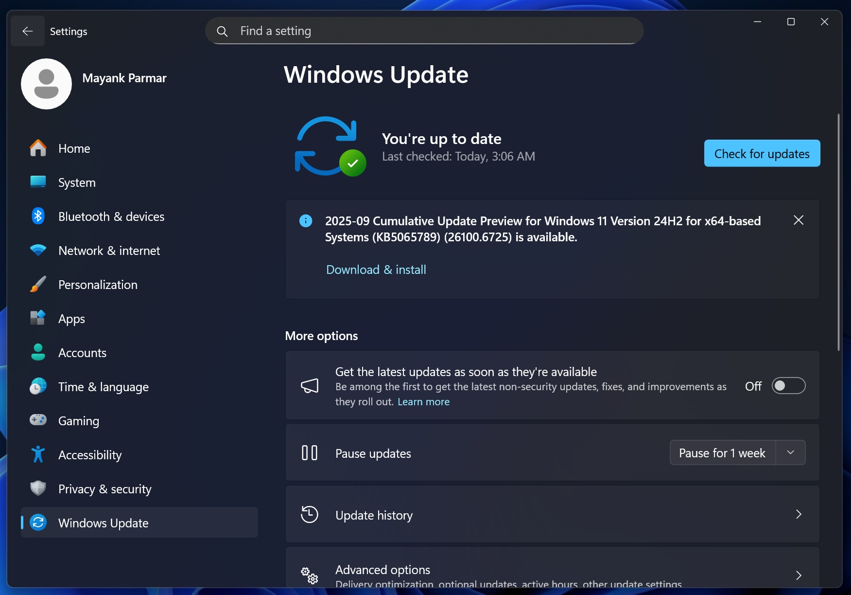 2025-09 Cumulative Update Preview for Windows 11 Version 24H2 for x64-based Systems (KB5065789) (26100.6725)