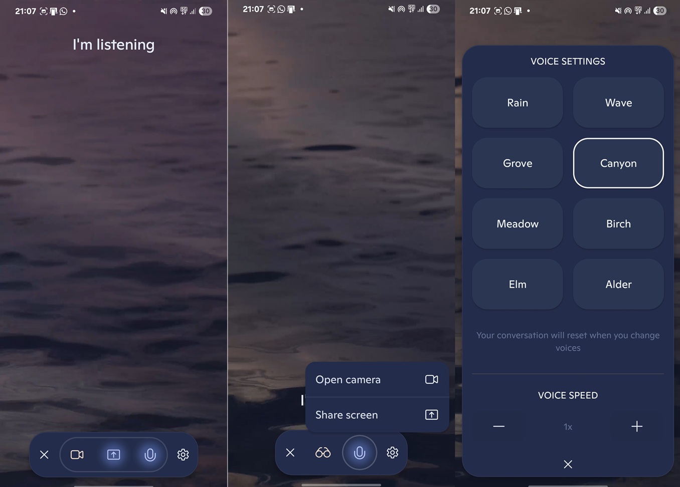 Copilot Screen Sharing mode