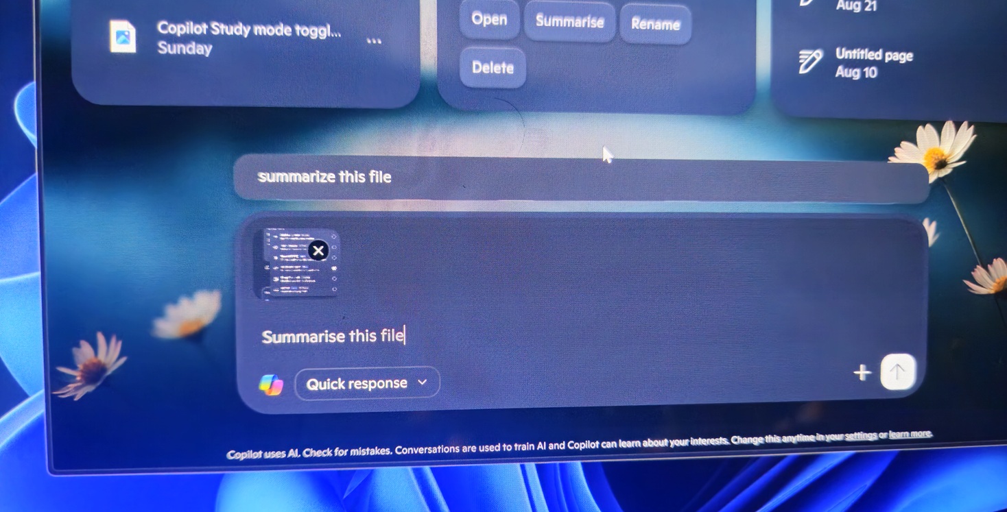 Copilot app summarize feature