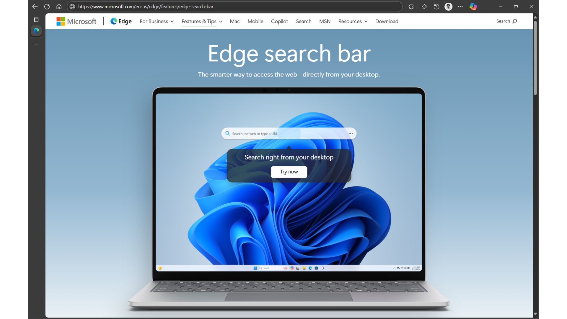 Microsoft Edge Search Bar