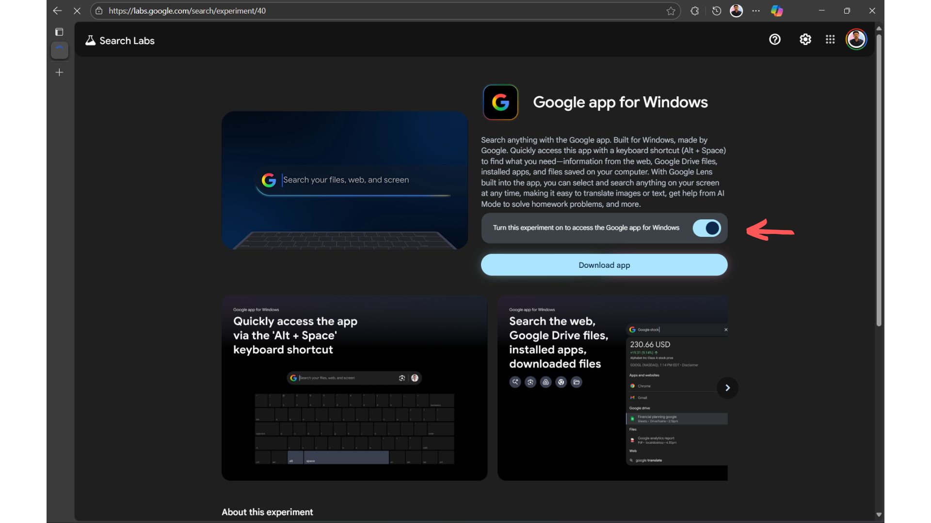 Enable Google app for Windows 