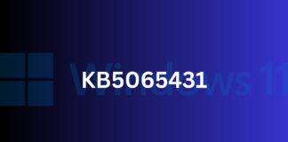 KB5065431 windows 11 23h2