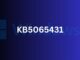 KB5065431 windows 11 23h2