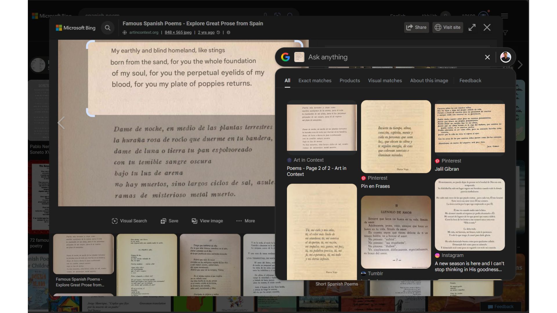 Google Lens on Windows