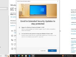 Windows 10 Extended Security Updates ESU in EU
