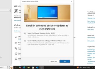 Windows 10 Extended Security Updates ESU in EU