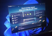 Windows 11 Copilot app