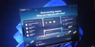 Windows 11 Copilot app