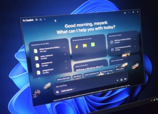 Windows 11 Copilot app