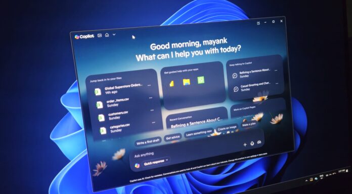 Windows 11 Copilot app