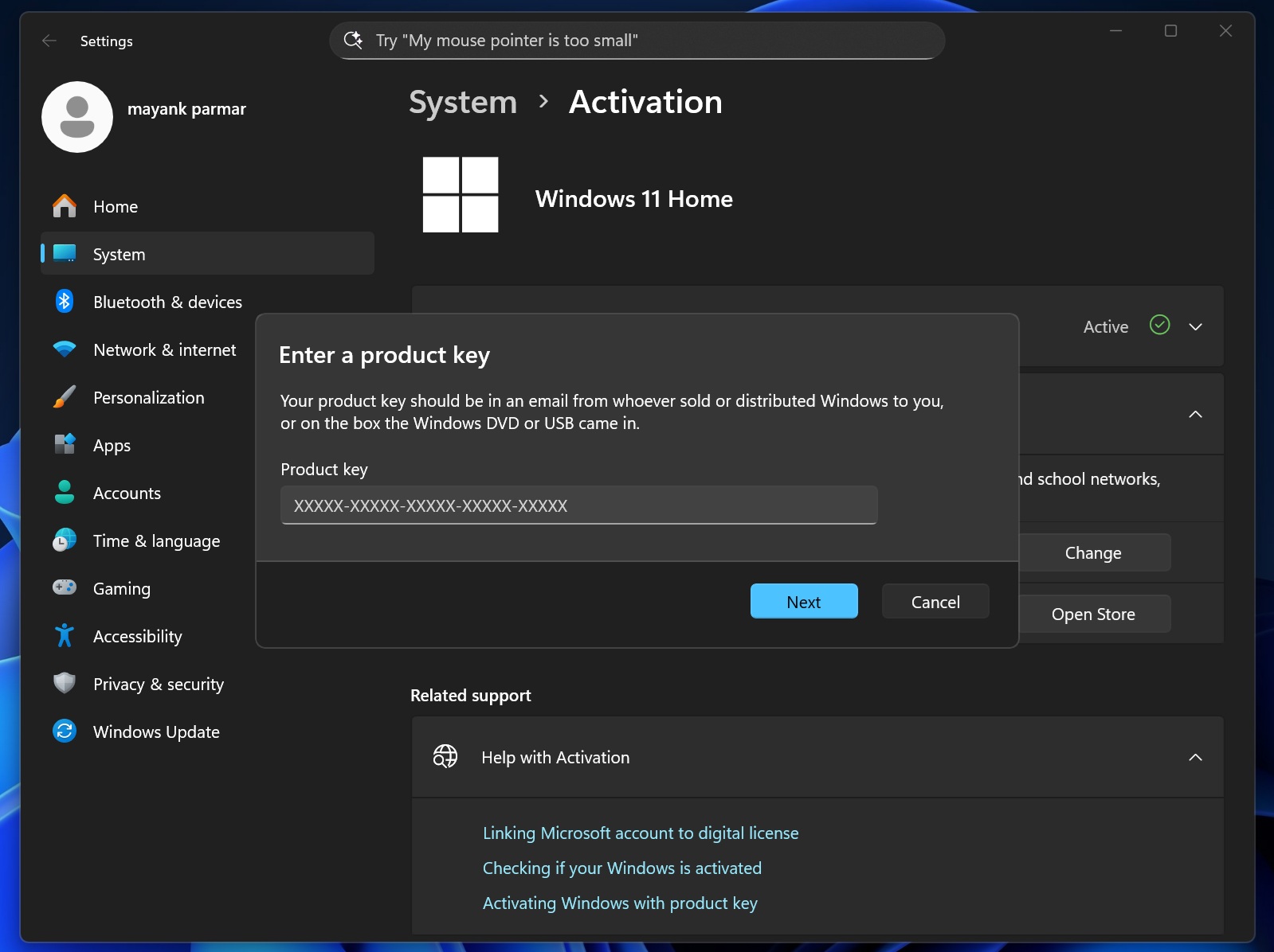Windows Activation screen