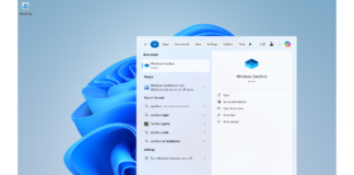 Windows Sandbox