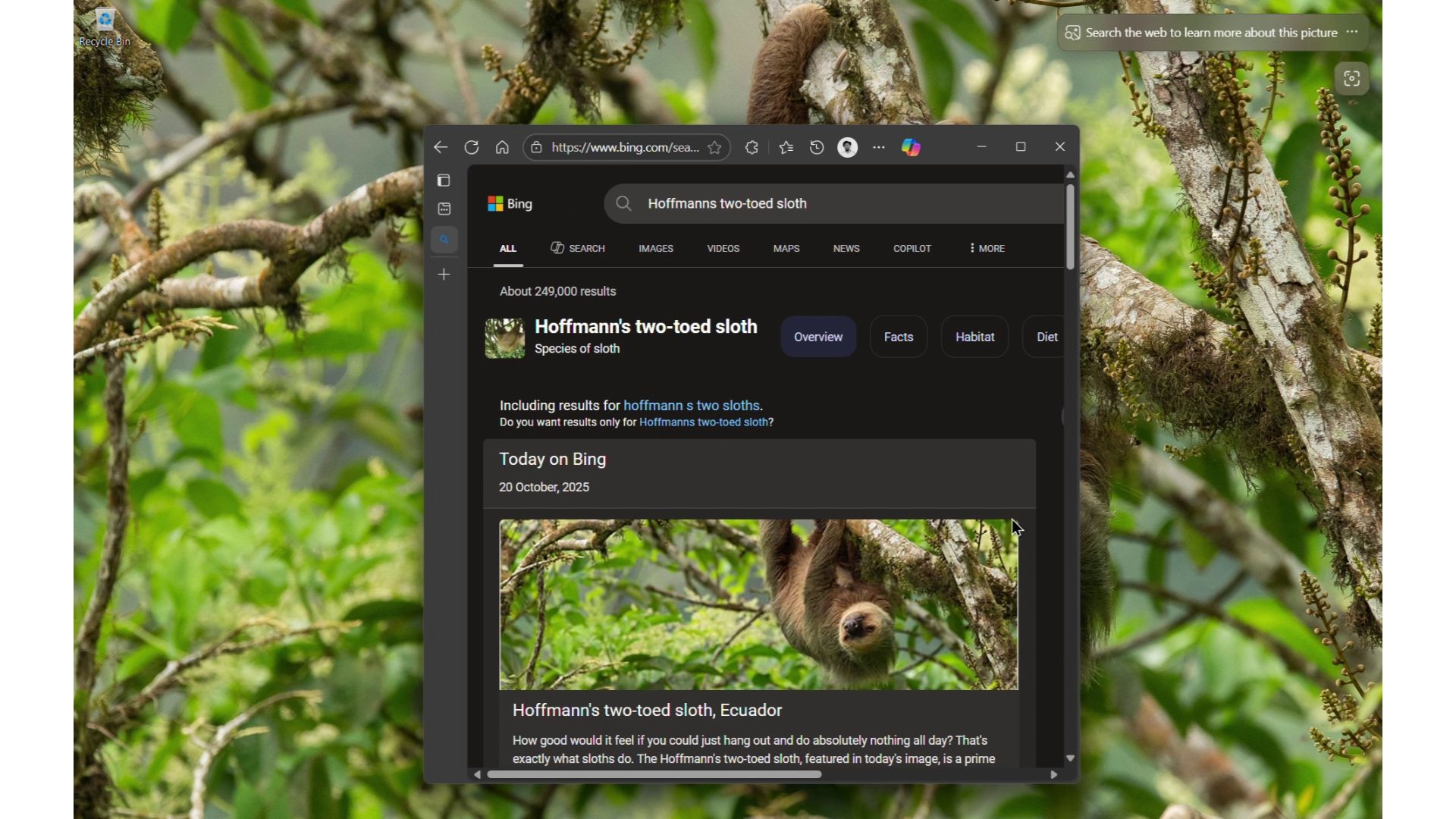 Bing Wallpaper app opened browser after clicking on the desktop wallpaper