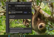 Windows 11’s Bing Wallpaper app opens Bing.com if you click anywhere on the desktop Bing Wallpaper app opens browser when clicked on the desktop background