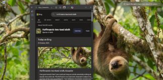 Bing Wallpaper app opens browser when clicked on the desktop background