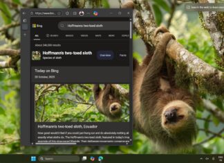 Bing Wallpaper app opens browser when clicked on the desktop background