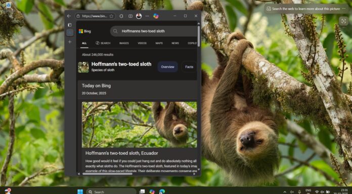Windows 11’s Bing Wallpaper app opens Bing.com if you click anywhere on the desktop Bing Wallpaper app opens browser when clicked on the desktop background