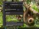 Windows 11’s Bing Wallpaper app opens Bing.com if you click anywhere on the desktop Bing Wallpaper app opens browser when clicked on the desktop background
