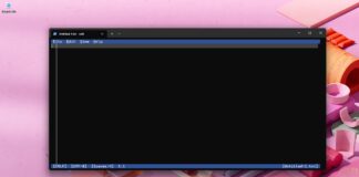 Edit CLI Editor for Windows 11