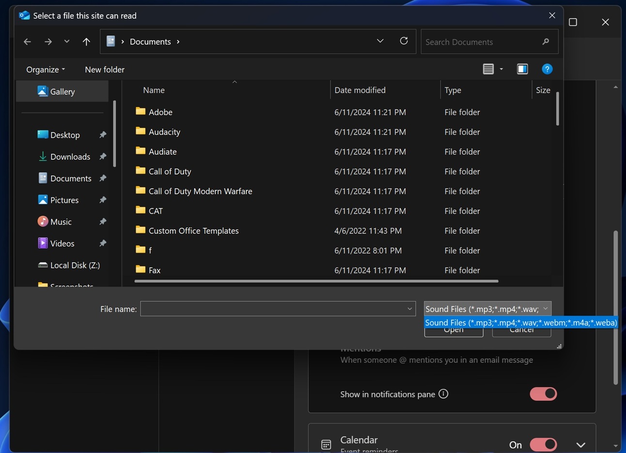 Outlook custom audio support