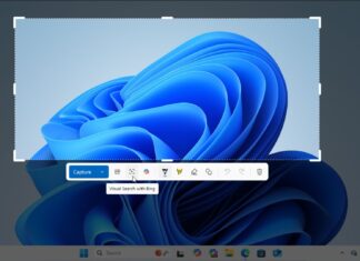 Sniping Tool with Visual Search is an alternative to Google Lens