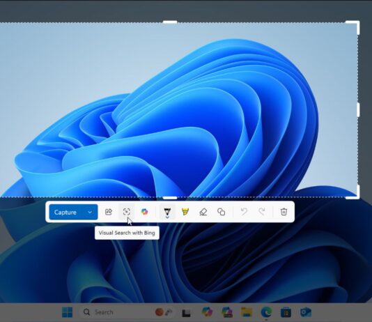 Sniping Tool with Visual Search is an alternative to Google Lens