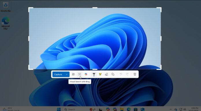 Sniping Tool with Visual Search is an alternative to Google Lens